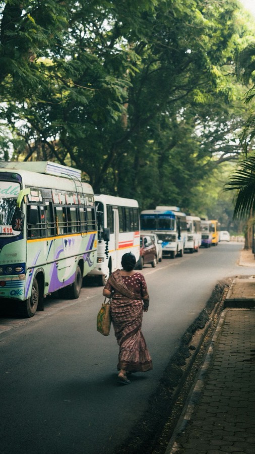 A woman in a sari walking along a tree-lined street past a row of buses